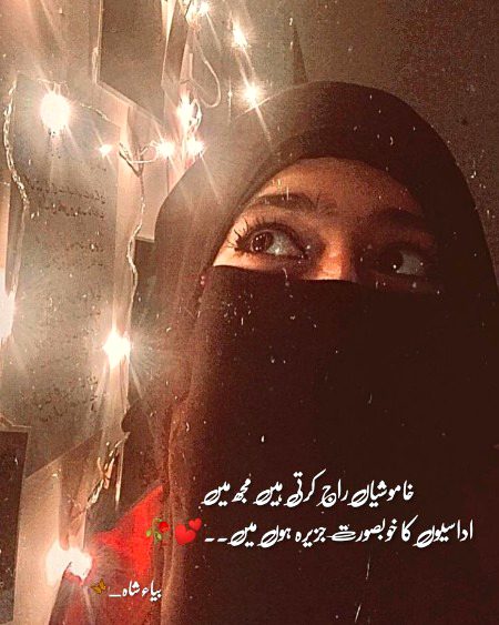 Sad Poetry image