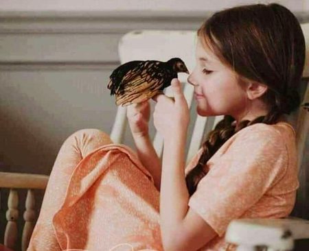 ہاں آپ نے ٹھیک پہچانا مجھے۔۔
میرے اندر آج بھی ایک معصوم سا بچپن موجود ہے۔۔
جگنو 💞