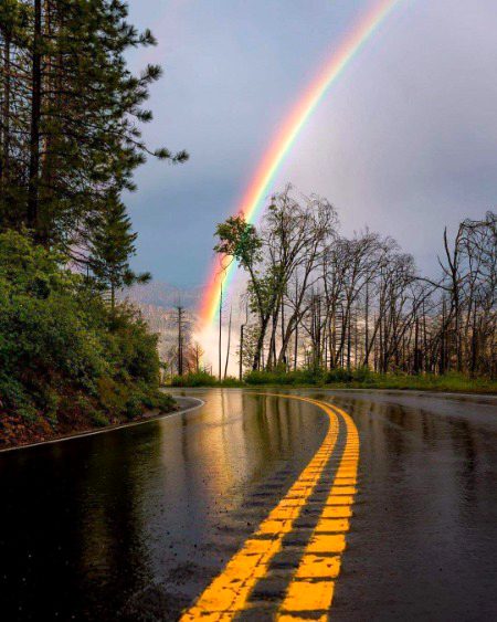 Beautiful Nature image