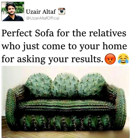 Memes & Satire image