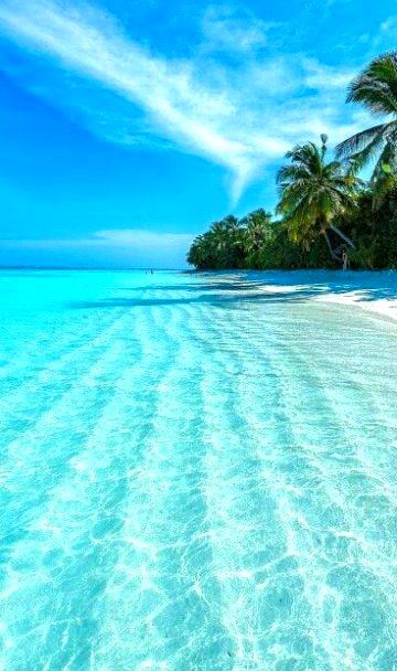Beautiful Nature image