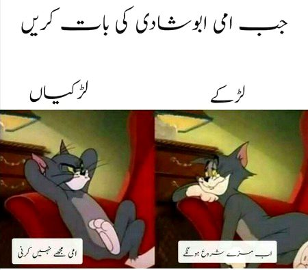 Memes & Satire image