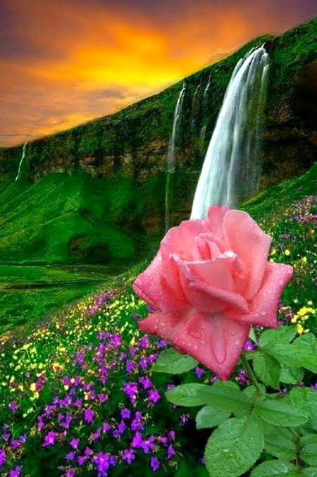 Beautiful Nature image
