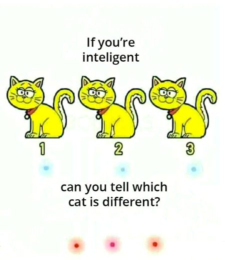 Riddles & Puzzles image