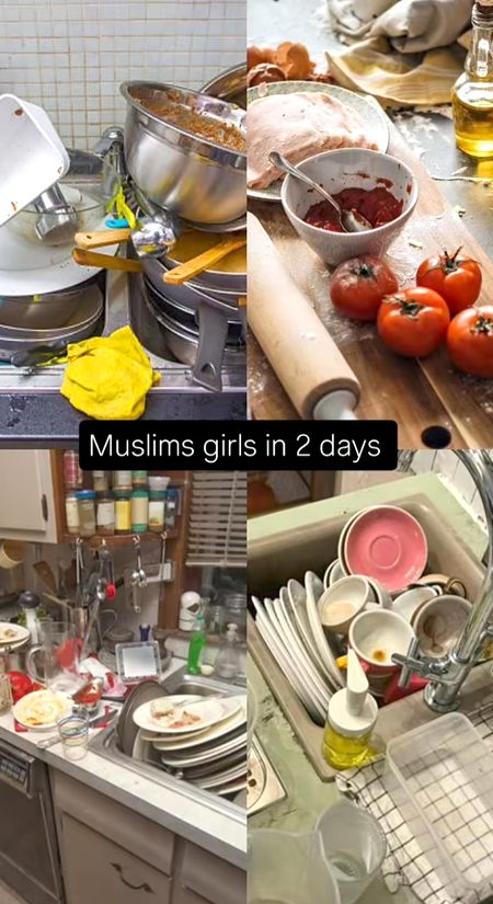 Memes & Satire image