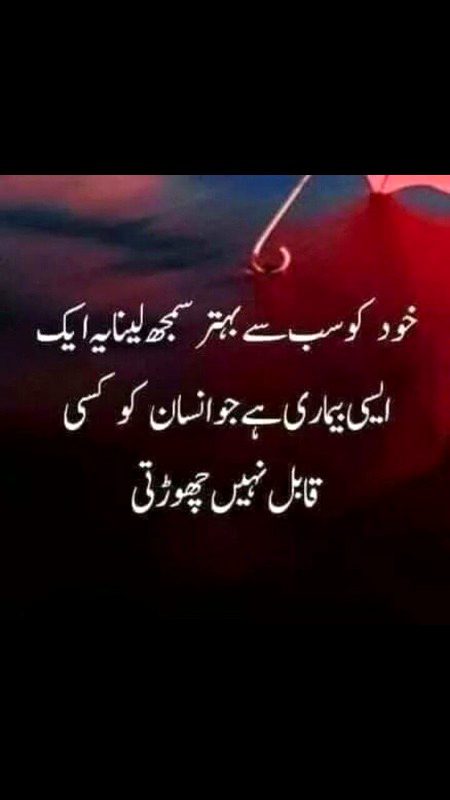 تم واقعی سب سے بھتر ہو۔