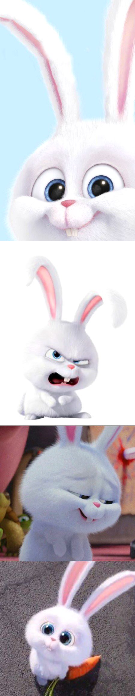 Snowfall Rabbit 🐰