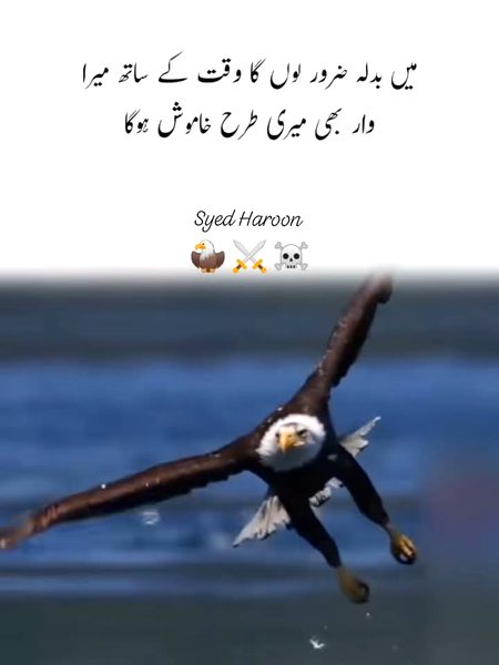 Attitude Quotes image