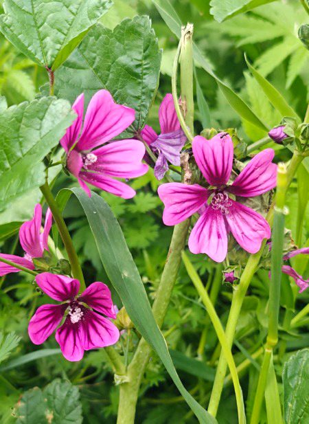 Beautiful Nature image