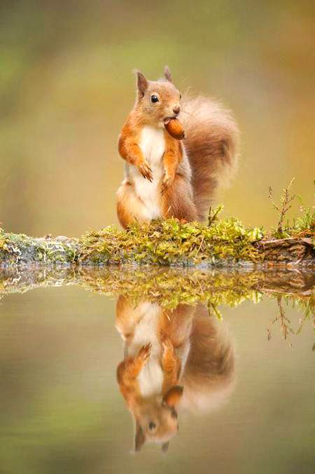 Beautiful Nature image
