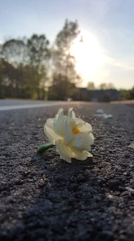 یہ دنیا آپکے ساتھ ختم کر دی جائے گی کیونکہ آپکی زندگی میں مرنے والے آخری شخص آپ خود ہیں