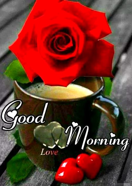 💕💕💕 Annie Gujjar 💕💕💕