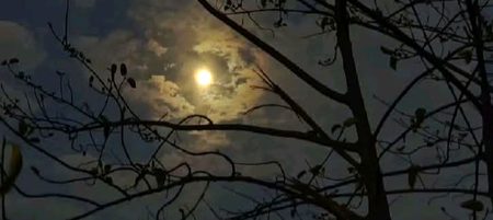 دو رستوں میں بنٹے ہوئے دل ایک دن مل جائے گے🙂🍁