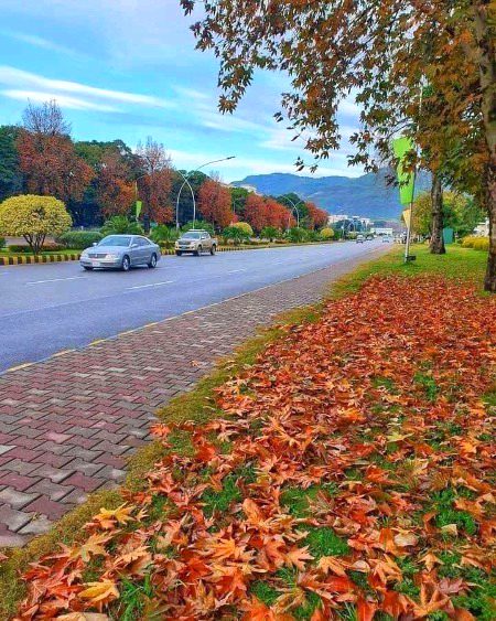 Beautiful Nature image