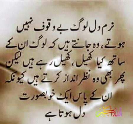 Jsy k Saanaam apk pas h ❣️