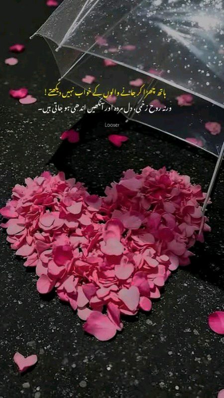 Sad Poetry image