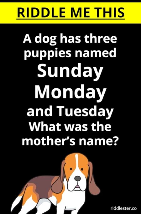 Riddles & Puzzles image