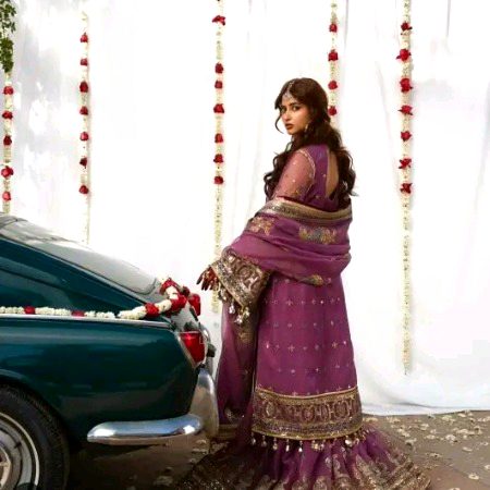 Pakistani Celebs image