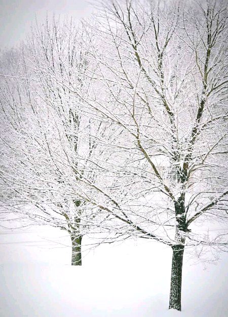 Beautiful Nature image