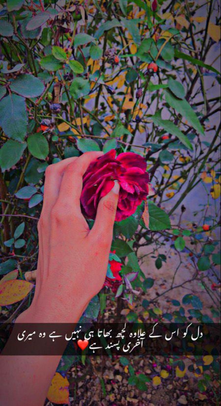 Romantic Poetry image