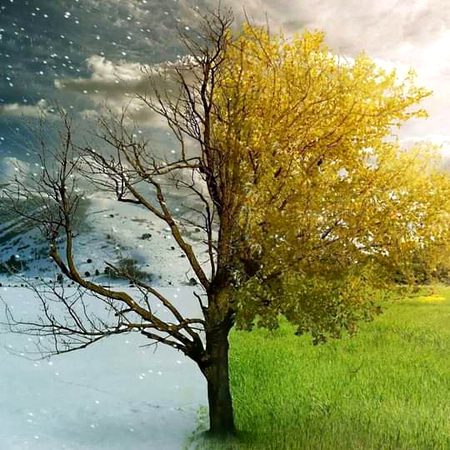 خزاں کا دور تیری بے رُخی کو کہتے ہیں
بہار تیری توجہ کا نام ہے جاناں..... ❤️