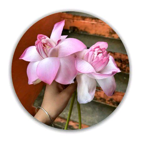 Beautiful Nature image