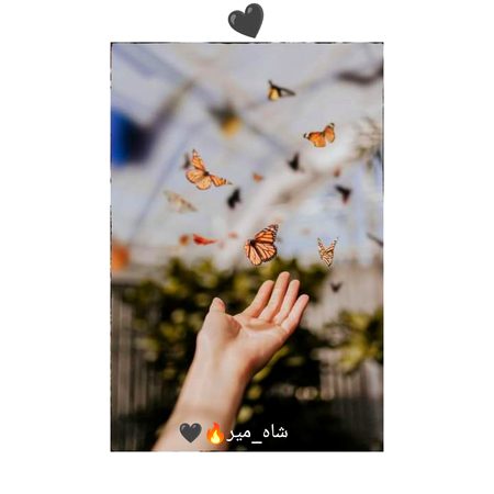 ہماری خواہشیں تو دل کے باغیچے میں اُڑتی تِتلیاں ہیں کہ جِن کے رنگ کَچے، اور عُمریں مُختصر ہیں...🙂🖤
"شاہ_میر"🔥🖤