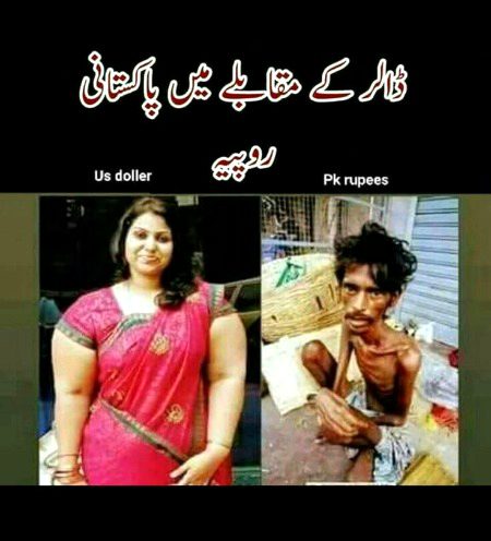 Memes & Satire image