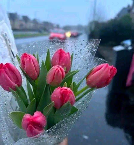 آُمِنیَت٘ہ وَاحِدۃ٘ آَنتَبقَی بِقُربي حتّی آخِرِ نَفَسٍ:
ایک تمنا ہے تُم پاس رہو' آخری سانس تک۔۔“🫀🤍