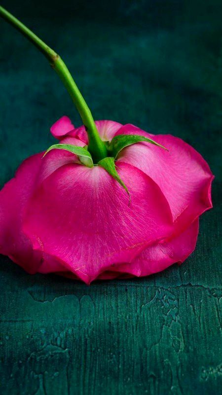 Beautiful Nature image