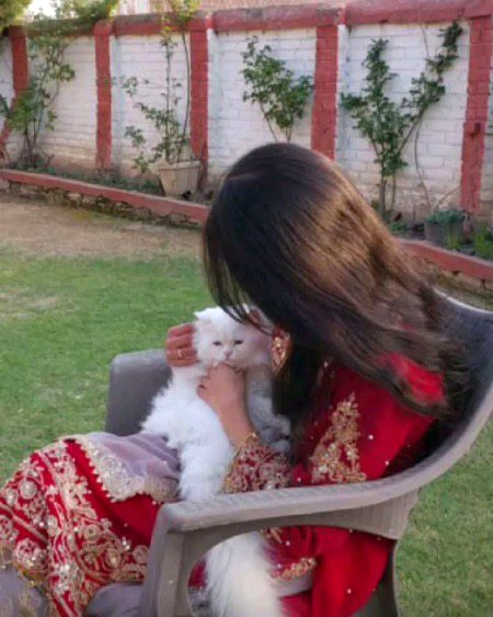 ہم کیا تمہاری راہ میں ___ تارے بچھائیں گے
ایک چاند تو ___ زمین پہ اتارا نہیں گیا __!
اشرف ہو اس جہاں میں __ تو مغرور مت رہو !
پھینکا گیا ہے تم کو ____ اتارا نہیں گیا __!