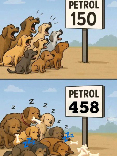 Memes & Satire image