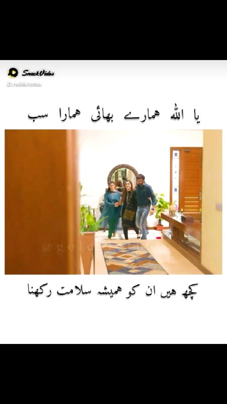 Memes & Satire image