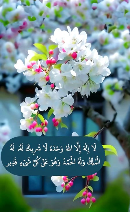 Islamic Quotes image