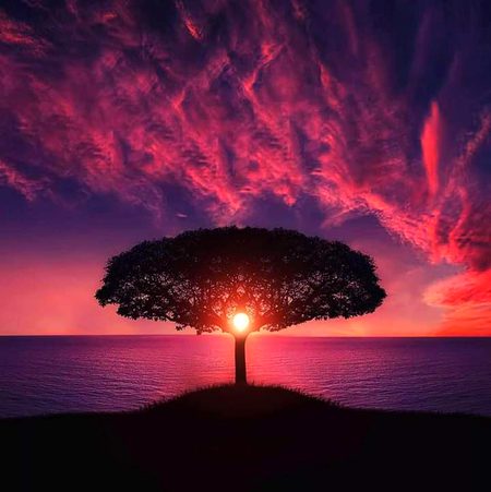 Beautiful Nature image