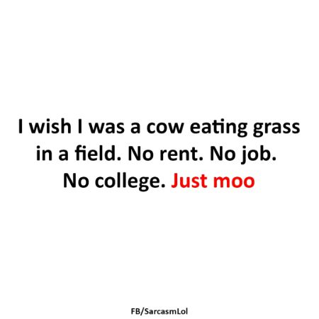 Jokes image