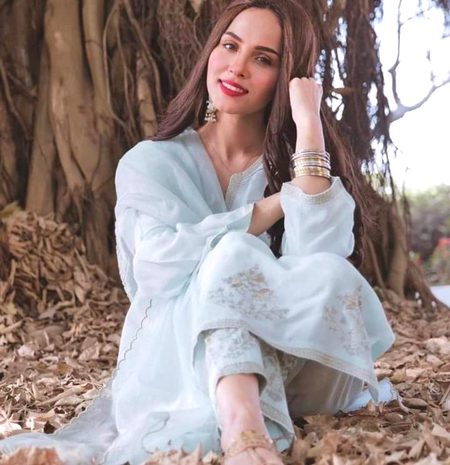 Pakistani Celebs image