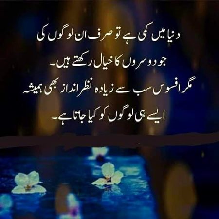 🔥True lines🔥✔✔