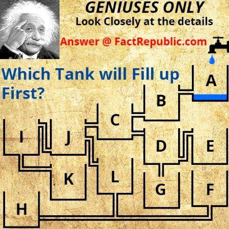 Riddles & Puzzles image