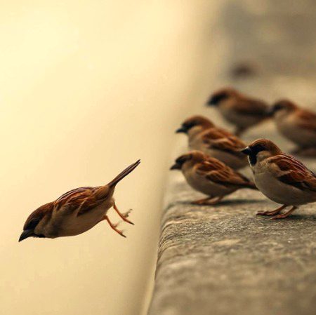 بے ادبی کا سب سے بہترین جواب خاموشی اور دُوری ہے؛ رٙدعمل، بحث یا کِھنچا تانی میں پڑنے کے بجائے بس اپنی مُوجودگی ہی واپس لے لو۔۔۔
یہ کمزوری نہیں بلکہ اپنی عِزت کا مضبوط اعلان ہے، خاموشی سے فاصلہ بنا کر تم اپنی طاقت واپس لیتے ہو۔ یہ کوئی بٙھاگنے کا راستہ نہیں، بلکہ اپنی قٙدر کا وہ واضح پیغام ہے جو الفاظ سے کہیں زیادہ گہرا اثر کرتا ہے۔۔۔“