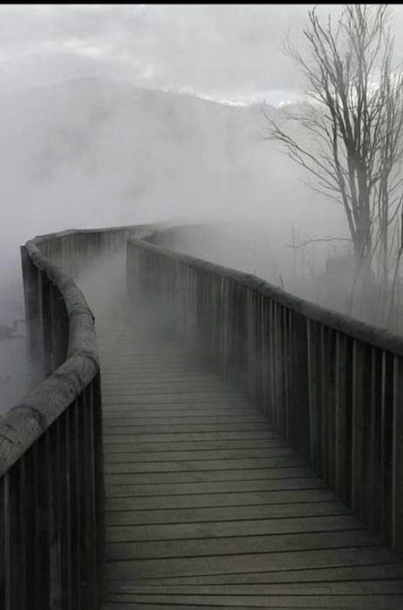 Beautiful Nature image