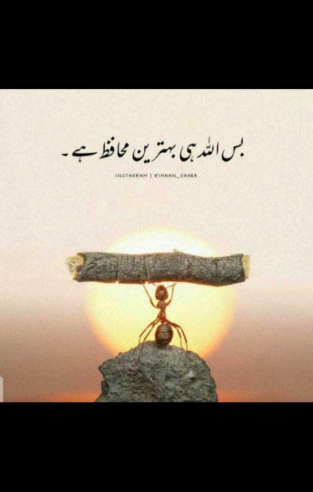 🌹Muntazir🌹