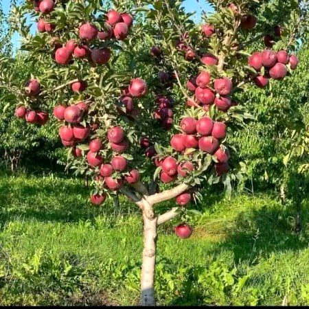 Beautiful Nature image