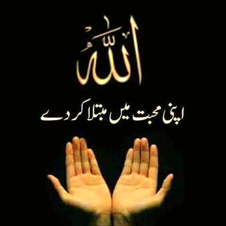 Islamic Quotes image