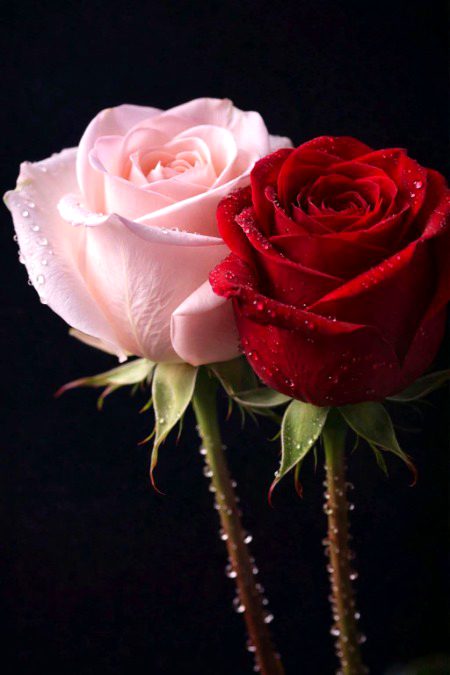 Aj to mosam bhi boht khmosh rha