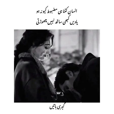 تو نے کچھ طنز کیے اور میں وہیں ہار گیا 
وقت سے تیز لگے مجھ کو طمانچے تیرے
ٹھیک اس وقت تجھے ہم سے بغاوت سوجھی 
ہم نے جب سیکھ لئے طور طریقے تیرے