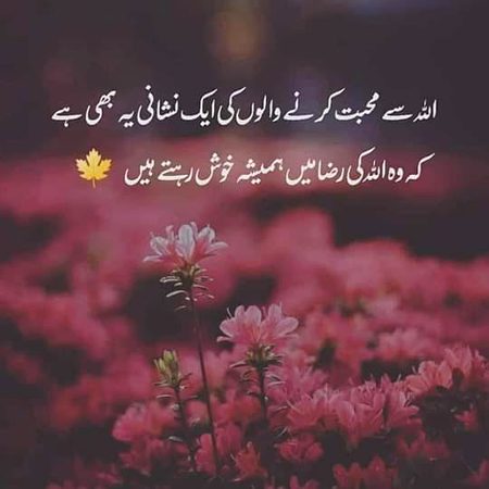 Motivational Quotes image