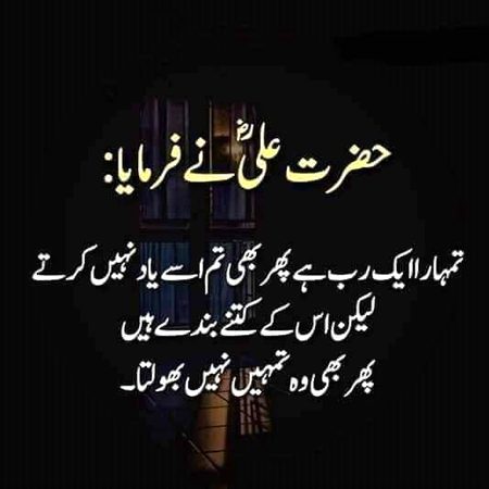 Islamic Quotes image