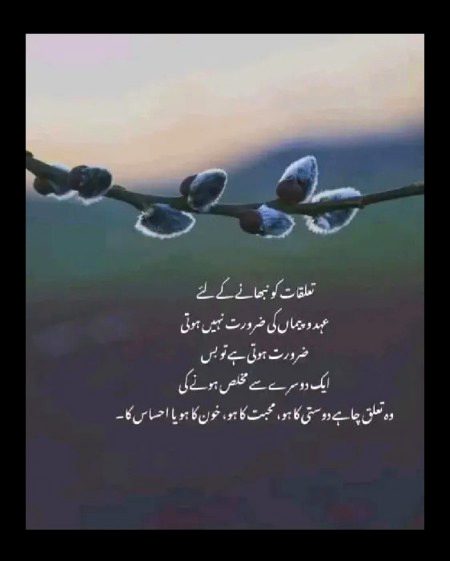 Talokat??