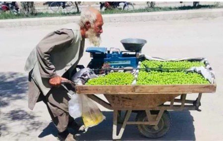 یہ ریڑھی والا بابا کوئی عام شخص نہیں ہے یہ افغان آرمی کا جنرل شاہ محمود ہے.
انہوں نے رائیل ملٹری اکیڈمی UK سے 1958 میں گریجویشن کی 1990 تک یہ افغان آرمی میں خدمات سرانجام دیتے رہے.
اس نے اپنے تین بیٹے اپنے ملک کے لیے قربان کیے.
اب یہ قندھار میں اپنی بیوی اور بہو کے ساتھ رہتے ہیں ان کی کفالت یہ ریڑھی چلا کر پھل اور سبزی بیچ کر کرتے ہیں 88 سال کی عمر میں یہ سخت محنت کرتے ہیں. 
کوئی انہیں امداد یا خیرات دینا چاہے تو یہ سخت ناراض ہوتے ہیں اور سخت برا مناتے ہیں.
غیرت، خودی اور خودداری سے جینا اسے کہتے ہیں، جس رزق سے پرواز میں کوتاہی آتی ہے اس رزق کا انکار اسے کہتے ہیں.